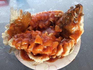 松鼠桂鱼