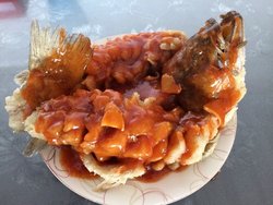 松鼠桂鱼