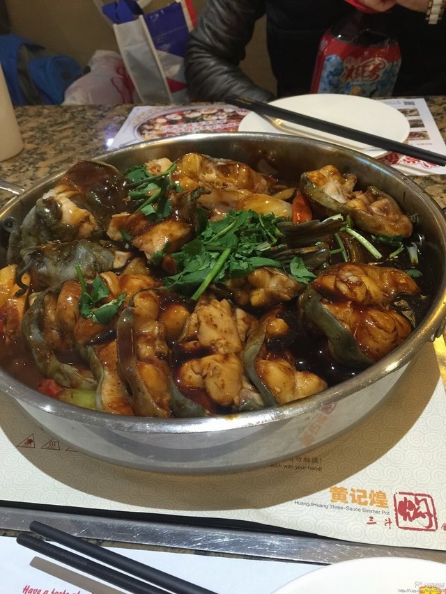 焖锅鲶鱼