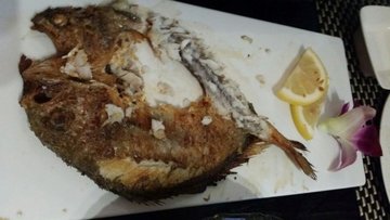 烤鳗鱼