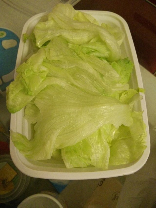 生菜