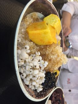 芋圆1号