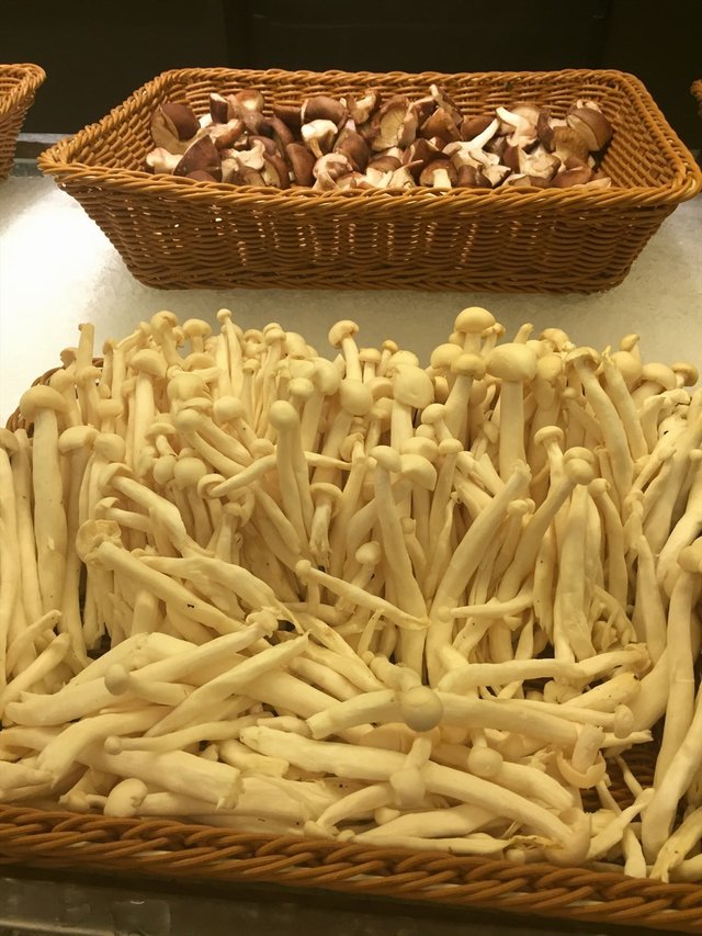 菌类