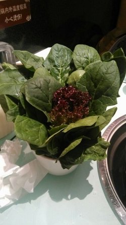 菠菜
