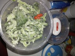 爽口鲜冰草
