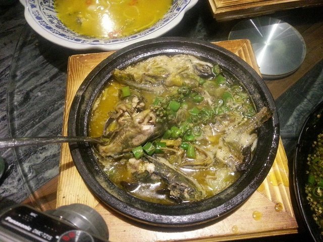 鲜麻黄辣丁