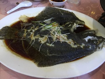 清蒸多宝鱼