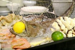 鱼（自助）