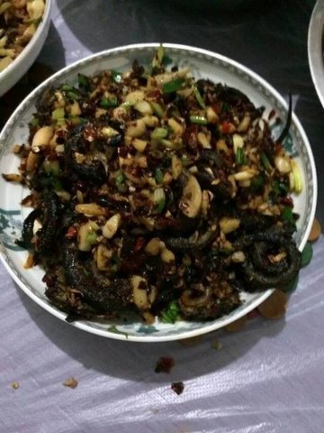 芽菜炒鳝丝