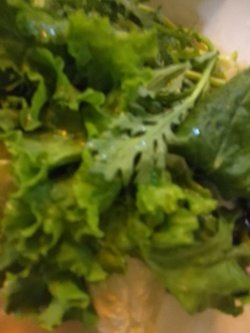 蔬菜