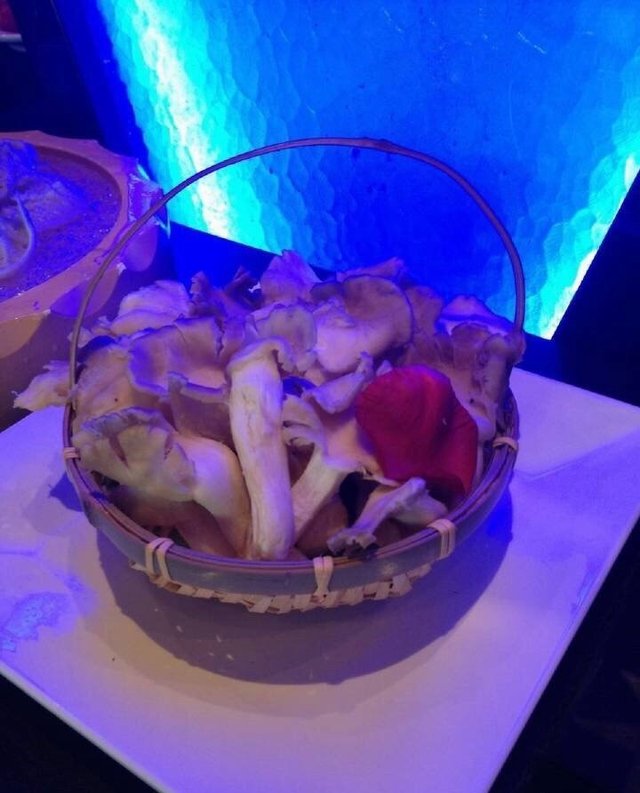 鸡腿菇