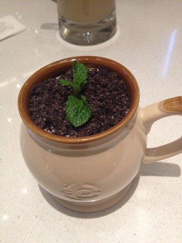 盆栽奶茶