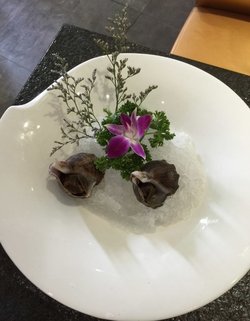 冰品红螺