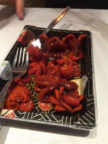 章鱼