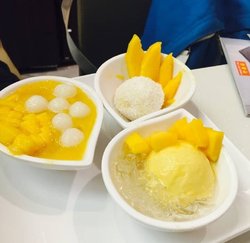 芒之恋