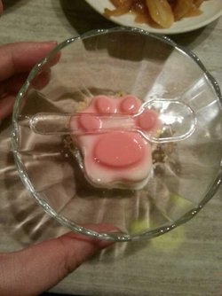 猫抓布丁