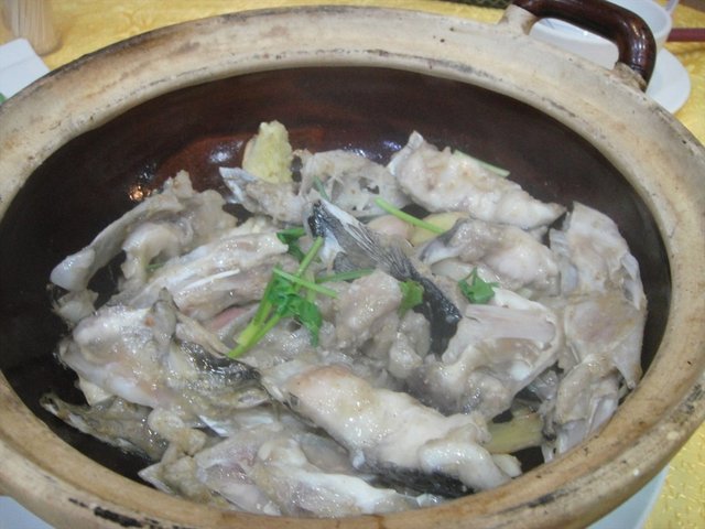 沙煲鱼头