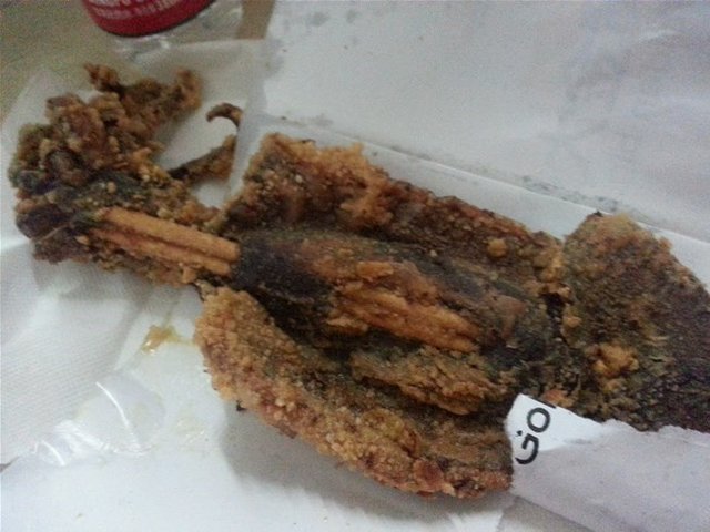 大鱿鱼