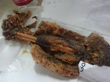 大鱿鱼