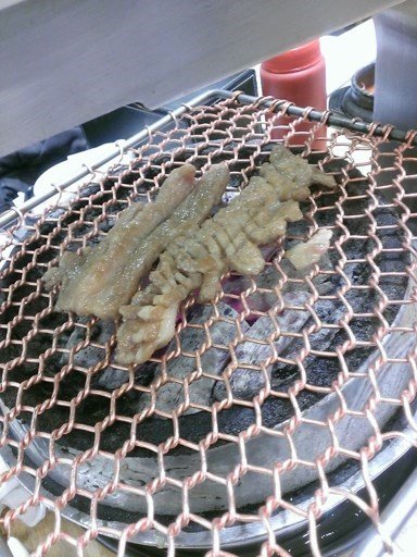 调味猪排