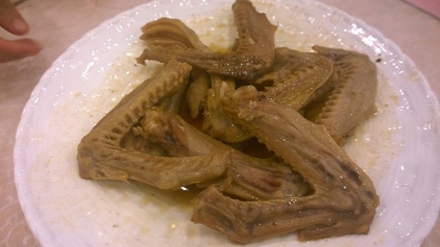 大盘掌翼