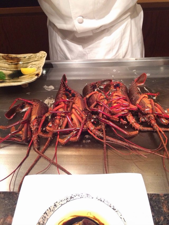 铁板烤龙虾
