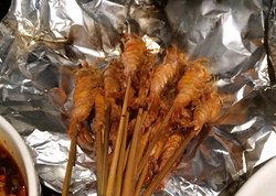 火焰虾
