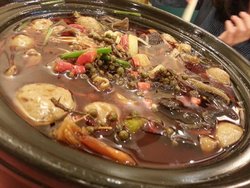 冒血旺