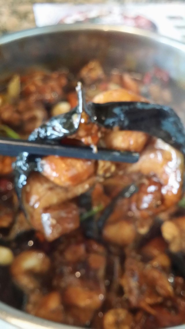 鲶鱼