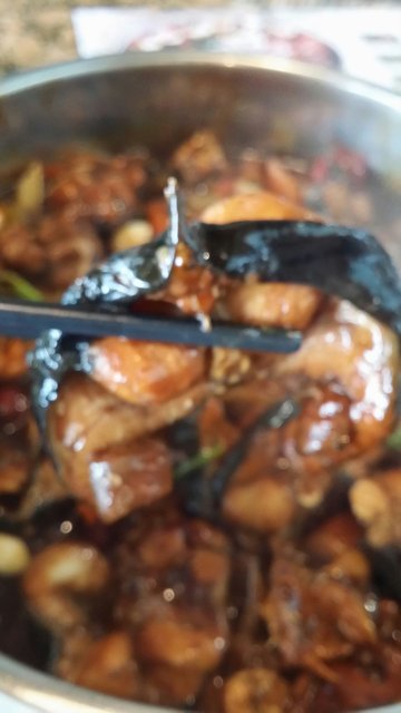 鲶鱼