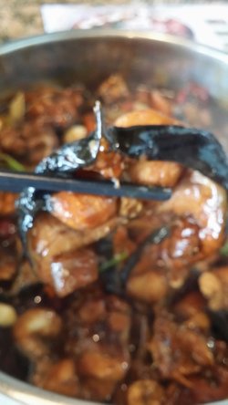鲶鱼