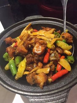小米椒爱上小公鸡