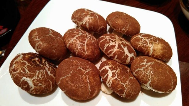 蘑菇包