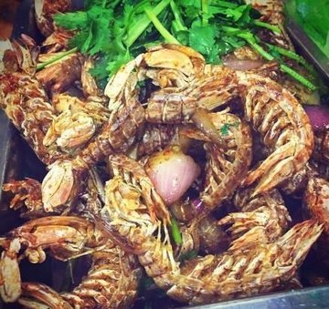 濑尿虾