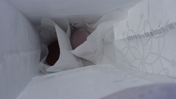 巧克力莫提