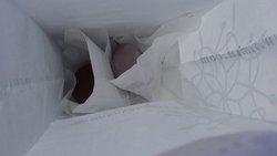 巧克力莫提
