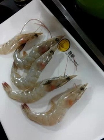 虾