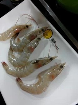 虾