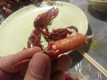 新鲜的蒸虾