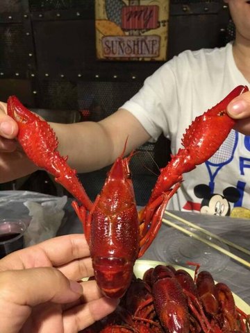 精品蒸虾