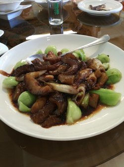 葱烧大乌参