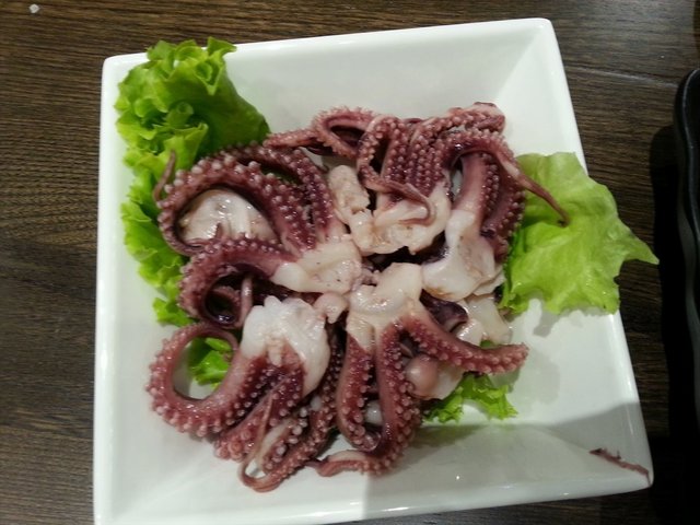 北美小八爪