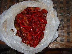 香辣小龙虾