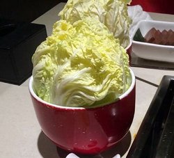 大白菜