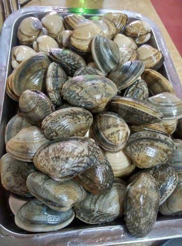 烤蚬子