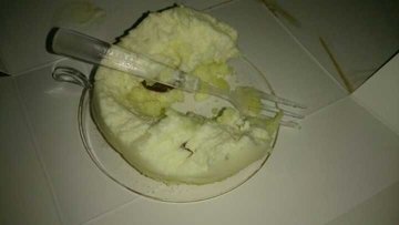 小兔子蛋糕