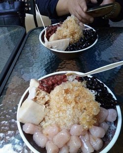芋圆4号