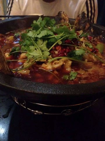 沸腾鱼