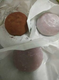 莫提