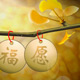 CHEN888